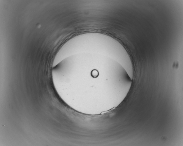 X0000111610035200908141304