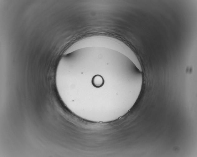 X0000111610036200908141304