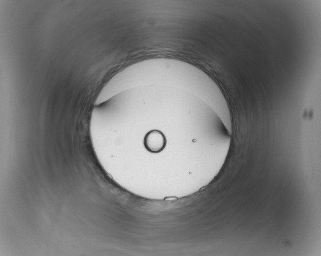 X0000111610037200908141304