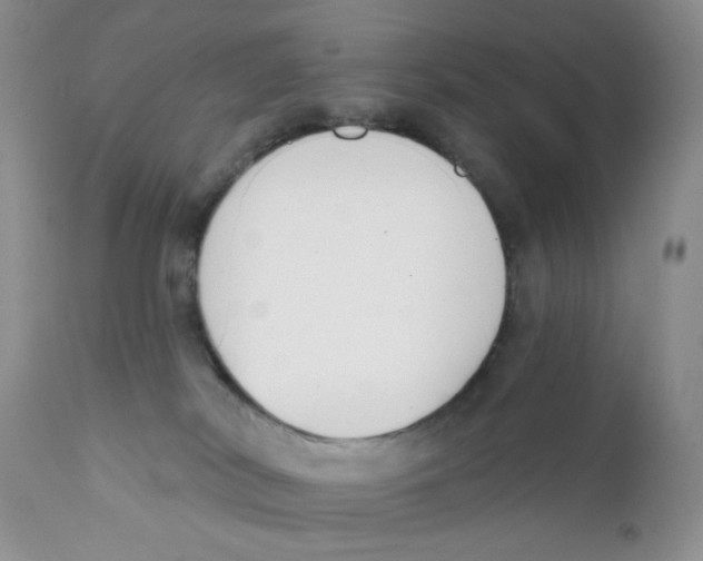 X0000111610038200908141304