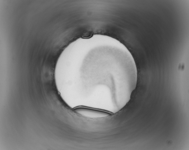 X0000111610039200908141304