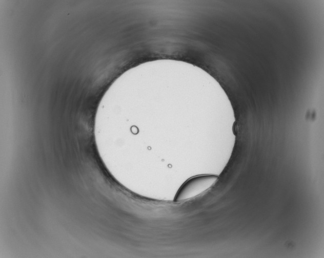 X0000111610040200908141304