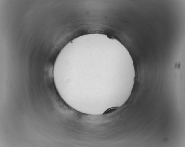 X0000111610041200908141304