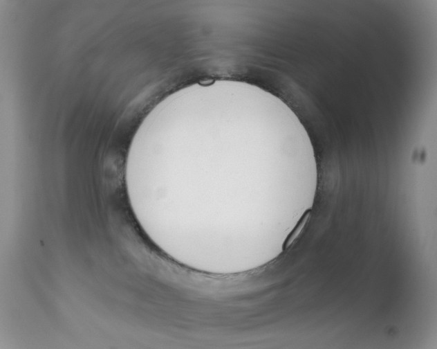 X0000111610043200908141304