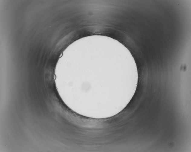 X0000111610044200908141304