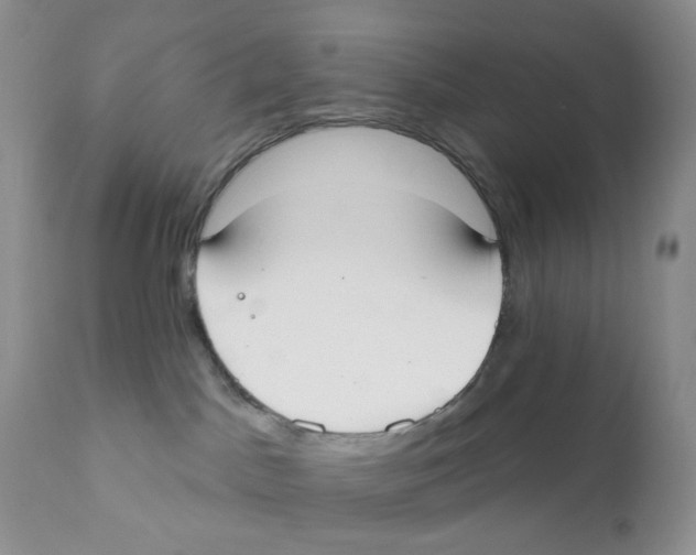 X0000111610045200908141304