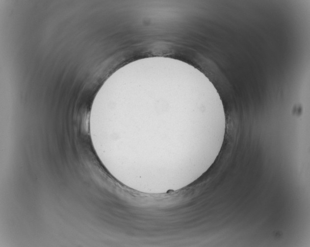 X0000111610046200908141304