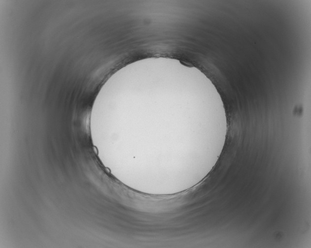 X0000111610047200908141304
