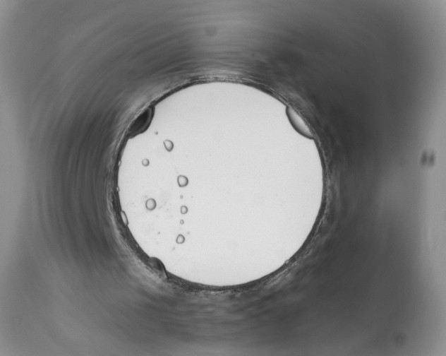 X0000111610049200908141304