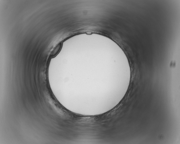 X0000111610050200908141304