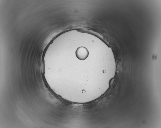 X0000111610052200908141304