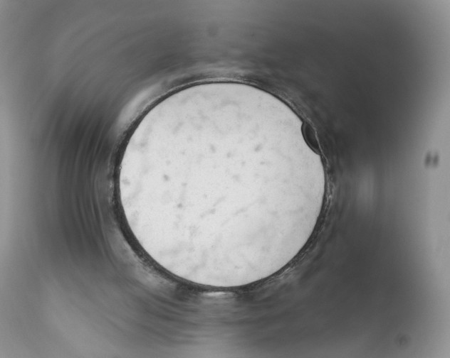 X0000111610053200908141304