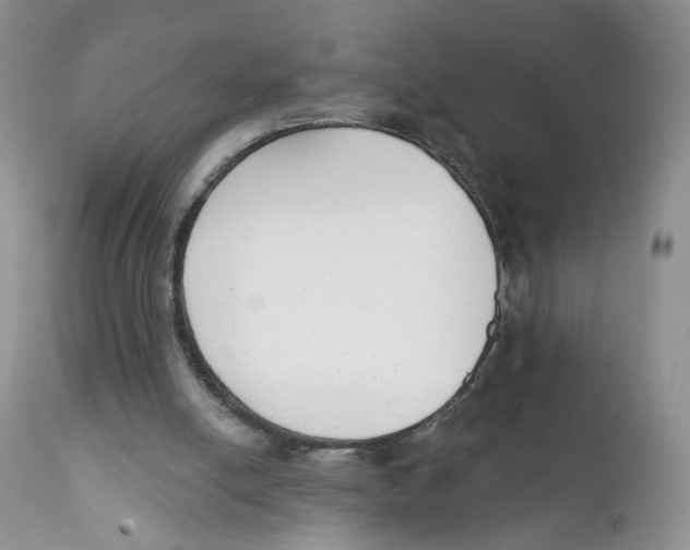 X0000111610054200908141304