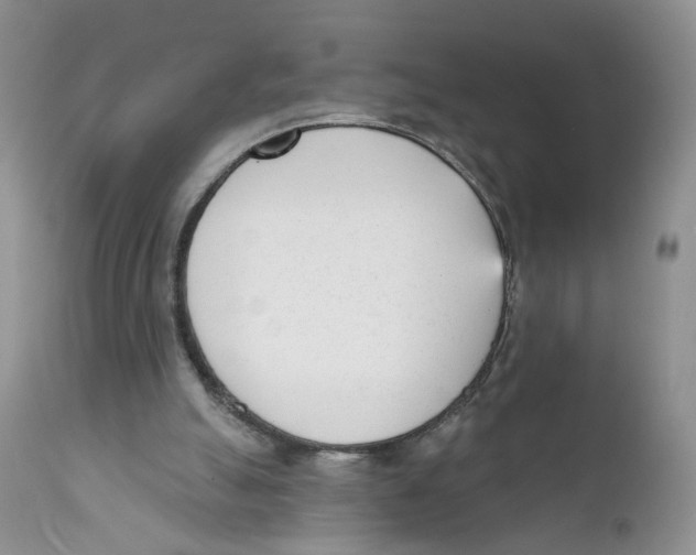 X0000111610055200908141304