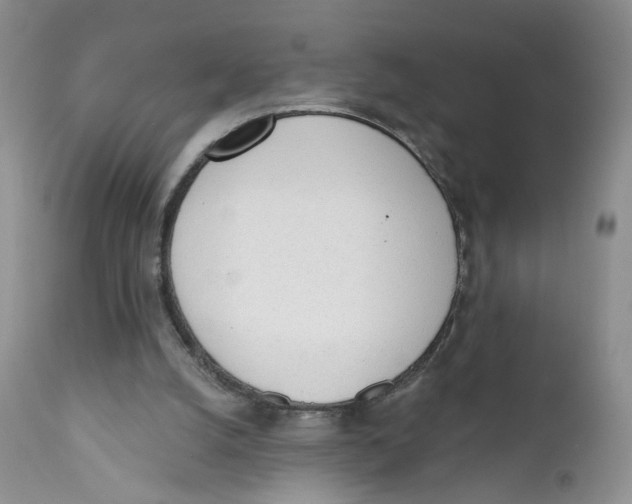 X0000111610056200908141304