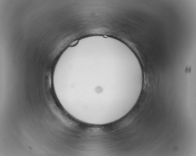 X0000111610061200908141304