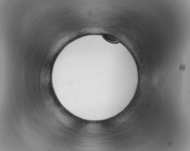X0000111610063200908141304