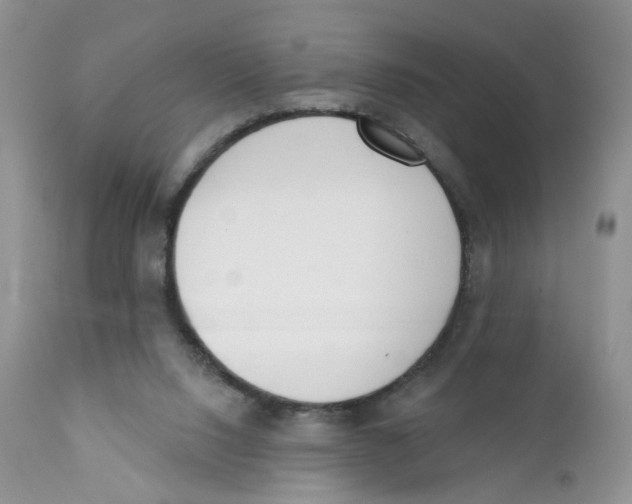 X0000111610064200908141304
