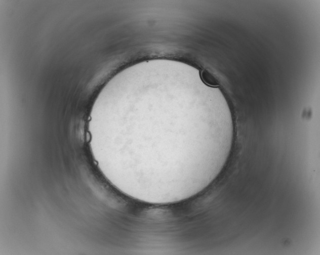 X0000111610067200908141304