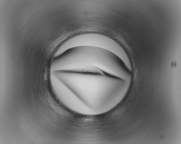 X0000111610068200908141304