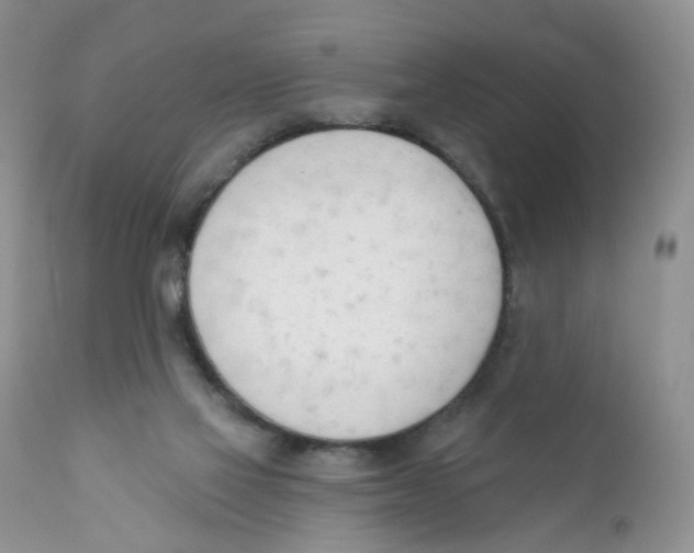 X0000111610069200908141304
