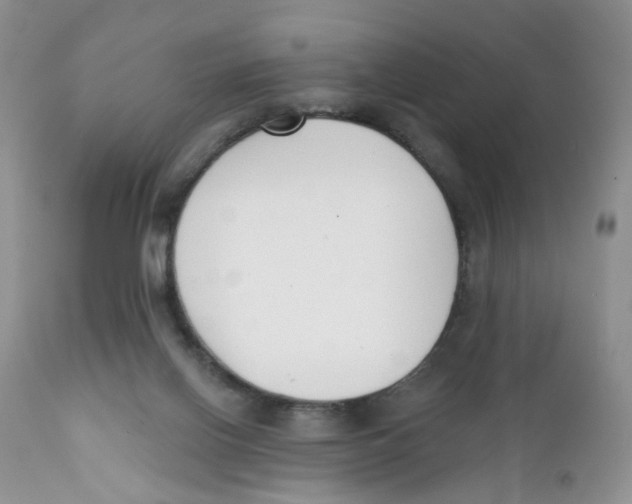 X0000111610070200908141304