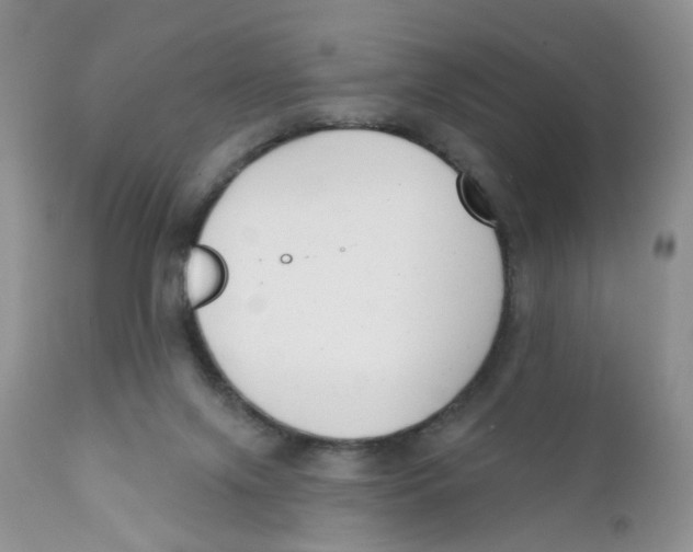 X0000111610071200908141304