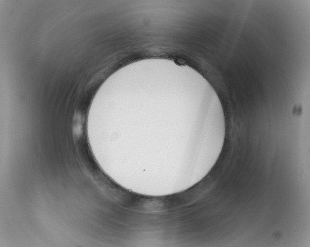 X0000111610075200908141304