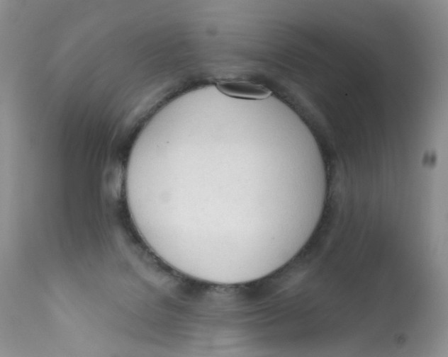 X0000111610076200908141304