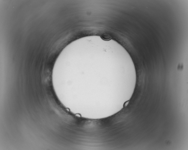 X0000111610077200908141304
