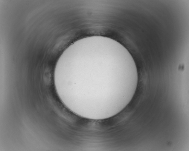 X0000111610080200908141304