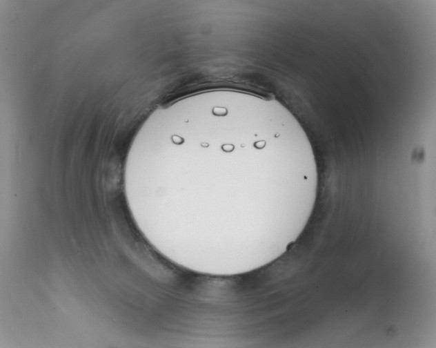 X0000111610081200908141304
