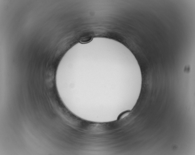 X0000111610082200908141304