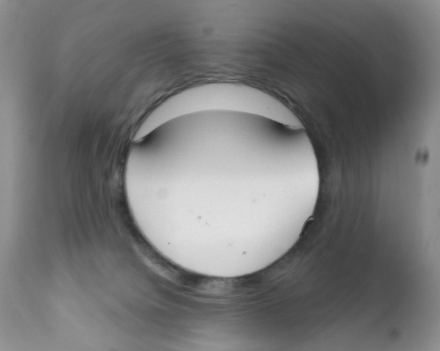 X0000111610084200908141304