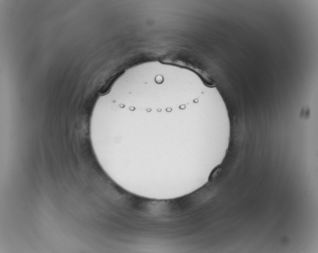 X0000111610085200908141304