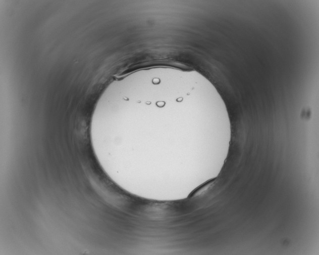 X0000111610086200908141304