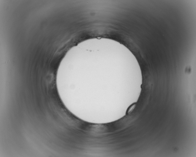 X0000111610087200908141304