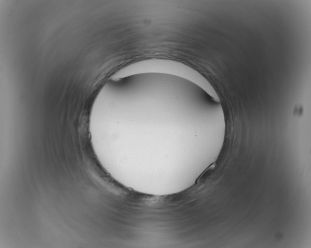 X0000111610092200908141304