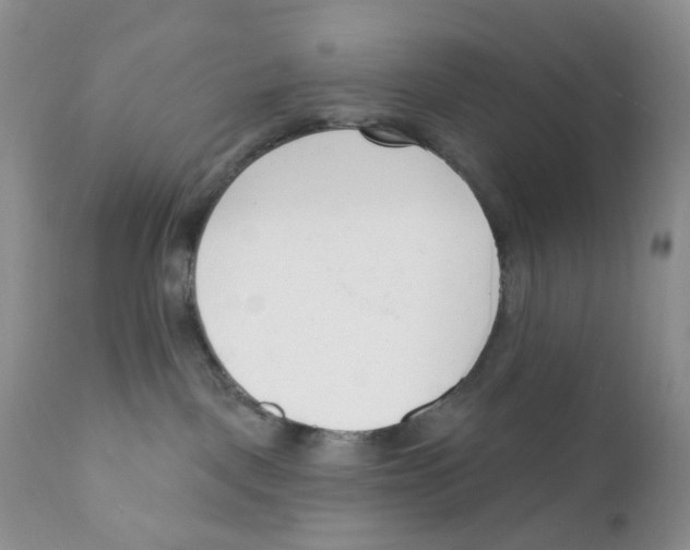 X0000111610093200908141304