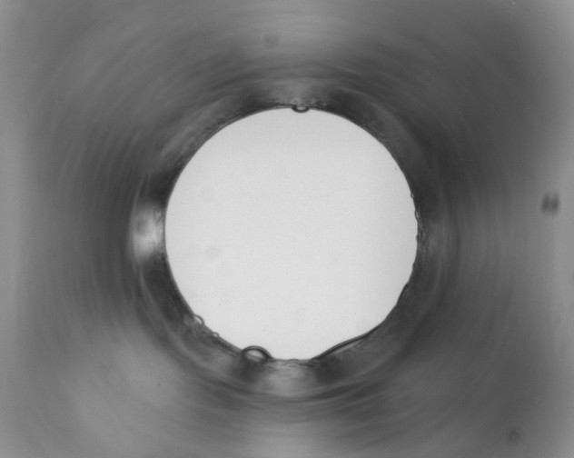 X0000111610095200908141304
