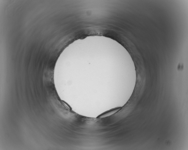 X0000111610096200908141304