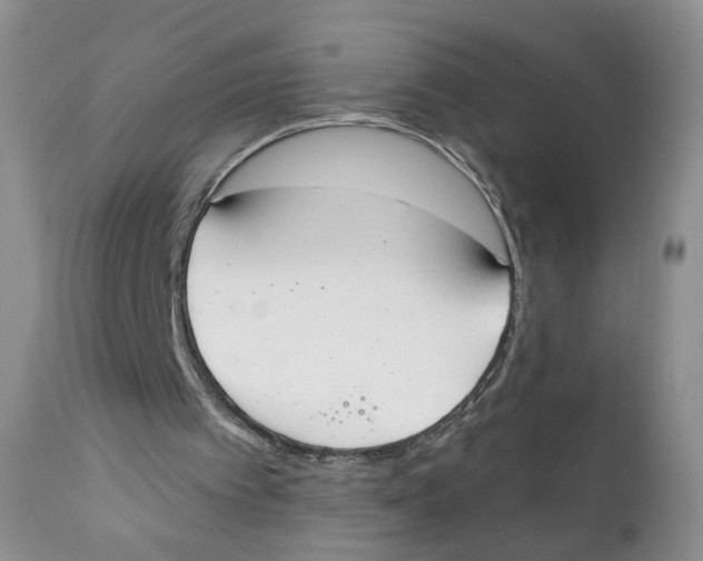 X0000111610097200908141304
