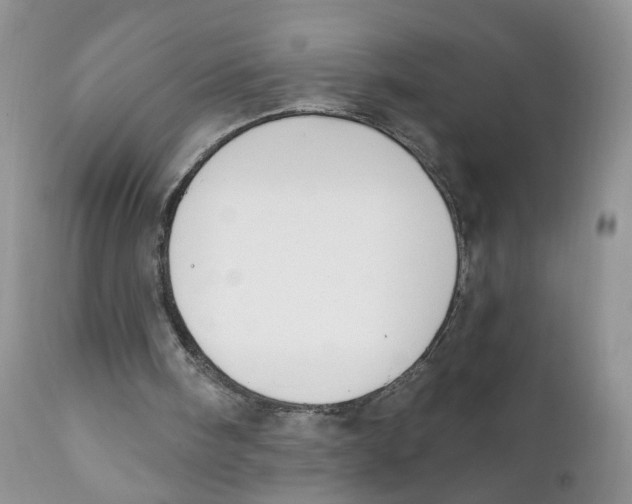 X0000111610098200908141304