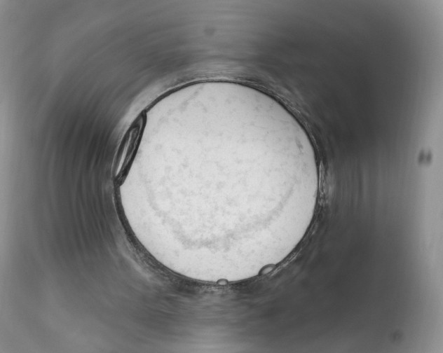 X0000111610099200908141304