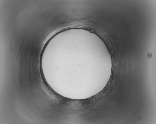 X0000111610100200908141303
