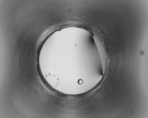 X0000111610101200908141303