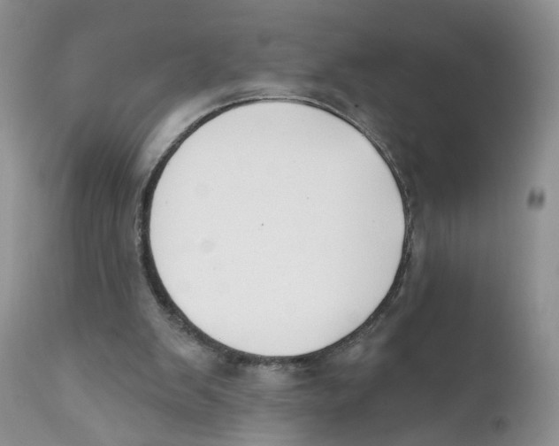 X0000111610103200908141303