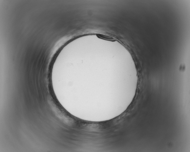 X0000111610104200908141303