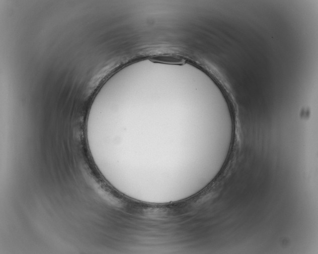 X0000111610105200908141303