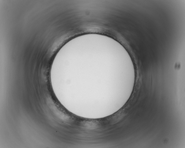 X0000111610106200908141303